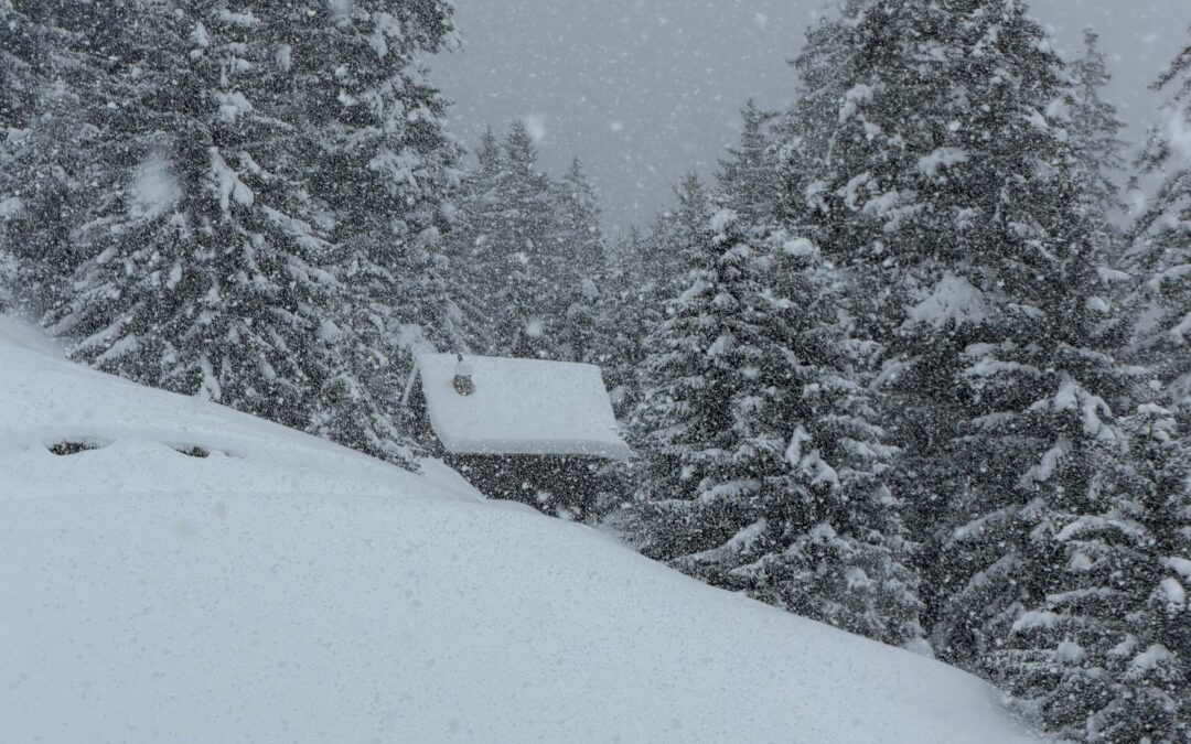 ❄️ Eingeschneit – und plötzlich muss es ohne Chef gehen